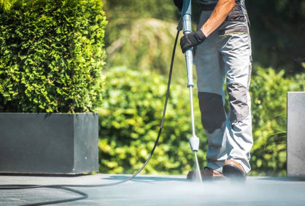 Best Building Exterior Washing  in Laguna Park, TX